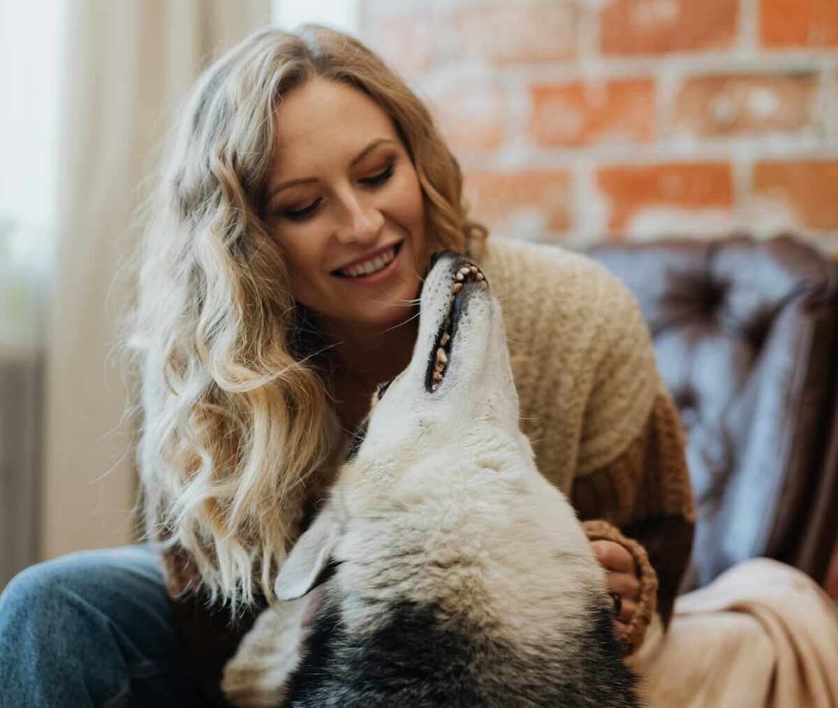 Owner scratching dog