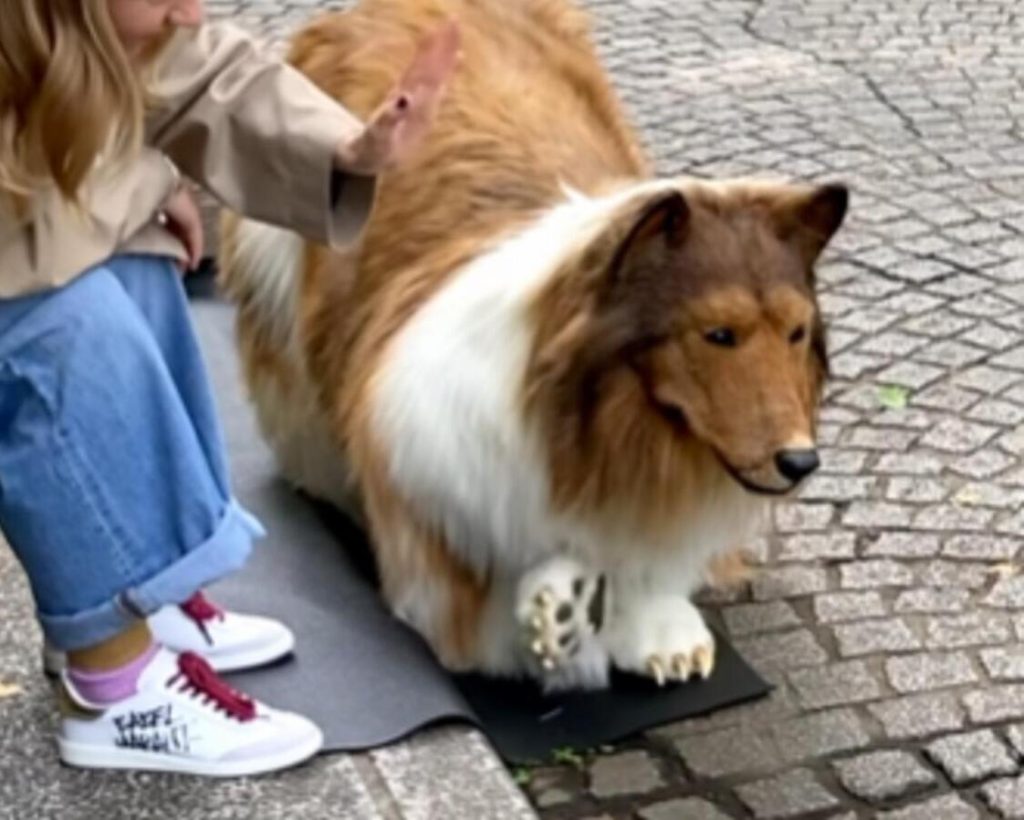 Japanese man spent more than $20,000 to become a dog