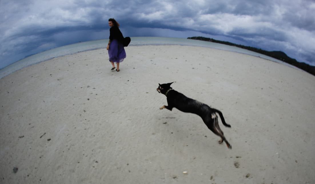 Dog following owner