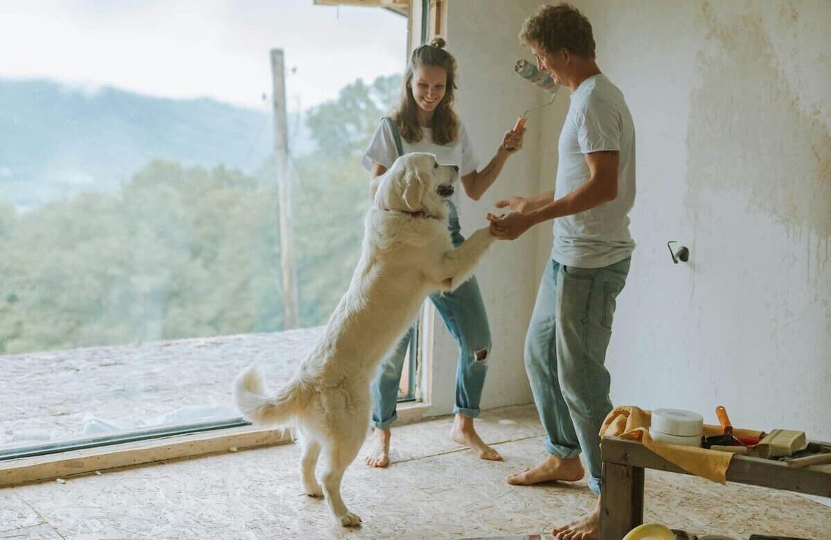 Dog jumping on owners