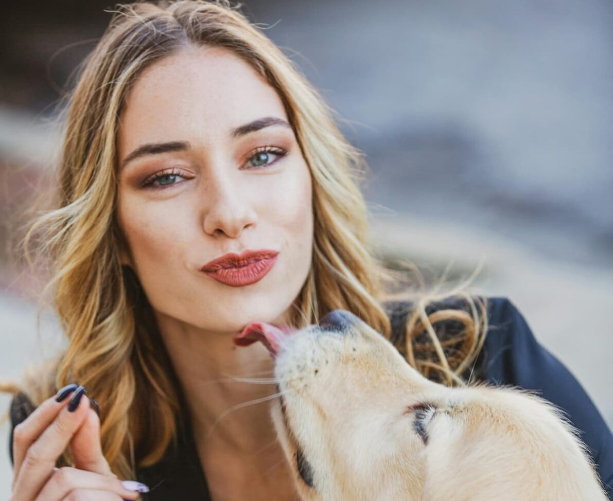 Dog licking owner