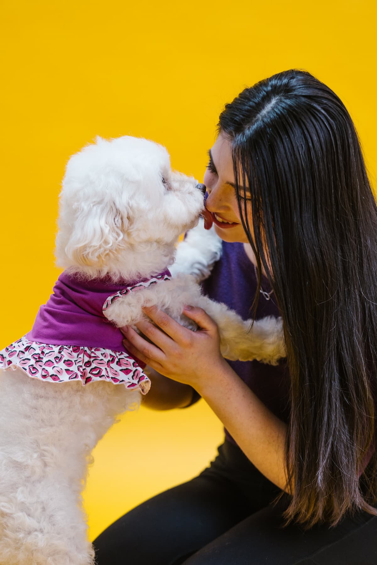 Dog licking owner