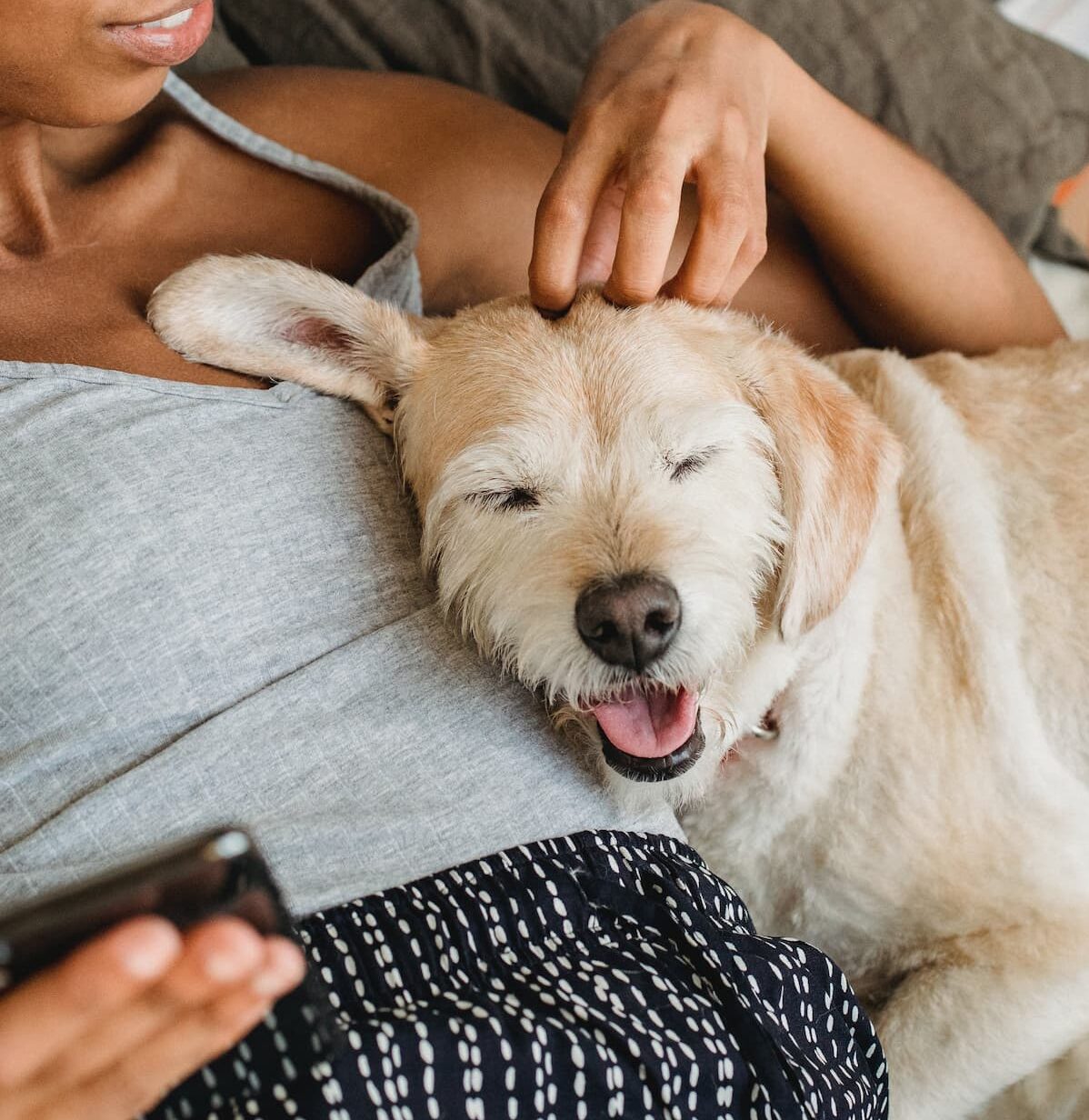 Dog sleeping on owner