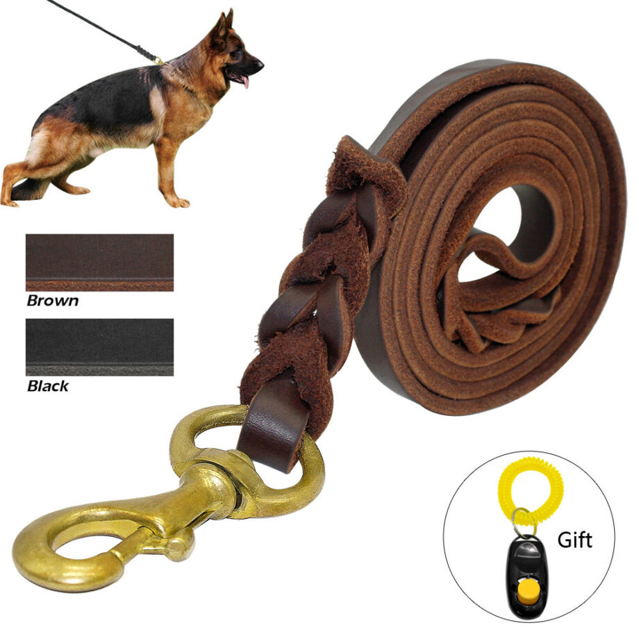 Braided Leather Dog Leash For Medium to Large Dogs