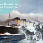 Canines Aboard the Famous Ocean Liner Titanic