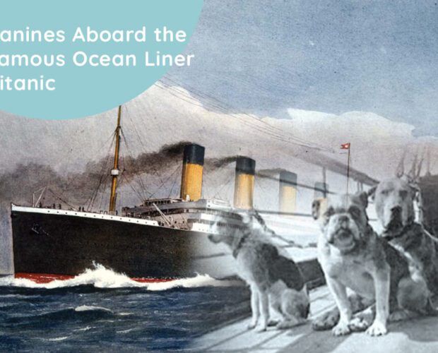 Canines Aboard the Famous Ocean Liner Titanic