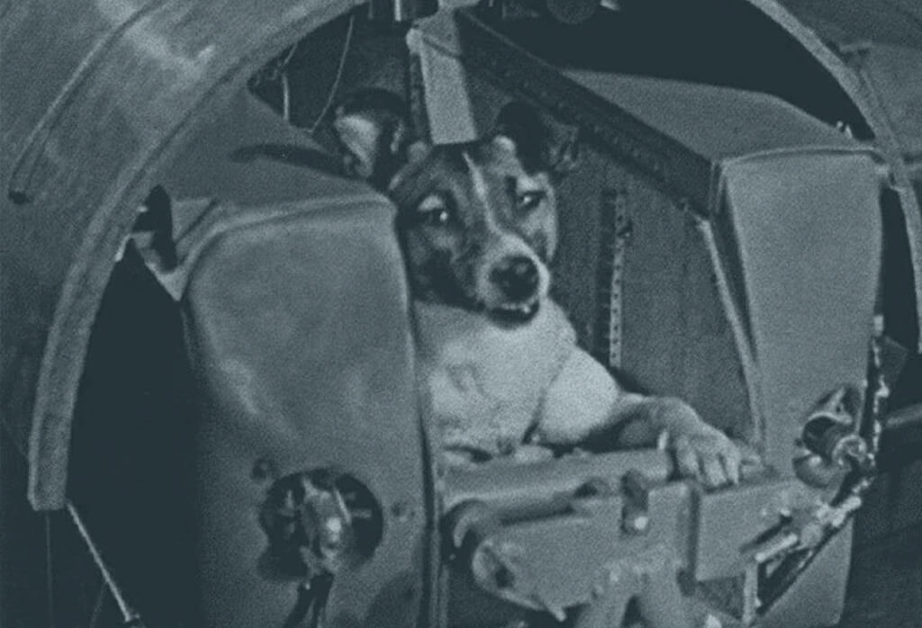 Dog In Space Laika