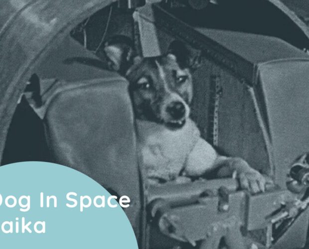 Dog In Space Laika_Feature