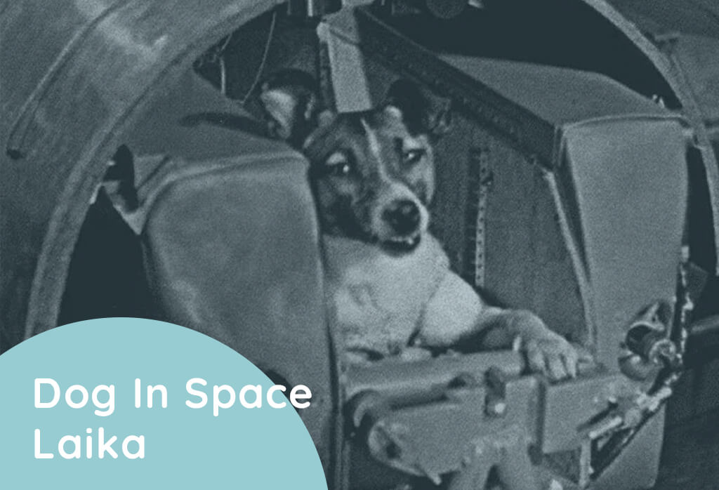 Dog In Space Laika_Feature