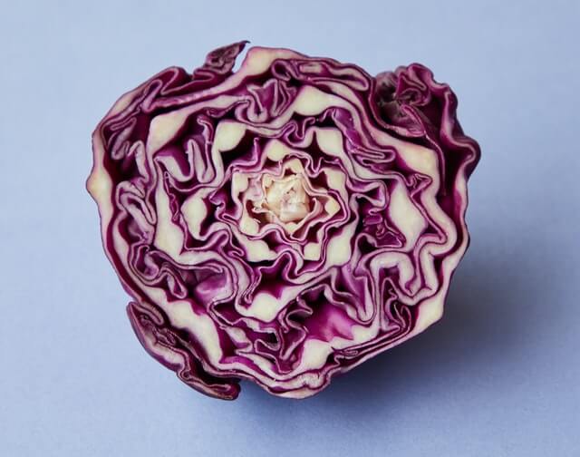 Purple Cabbage