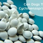 Can Dogs Take Cyclobenzaprine? Is it safe for Dogs?