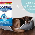 Can I Give My Dog Mucinex? A Comprehensive Guide