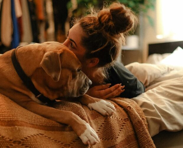 Dog and owner on bed