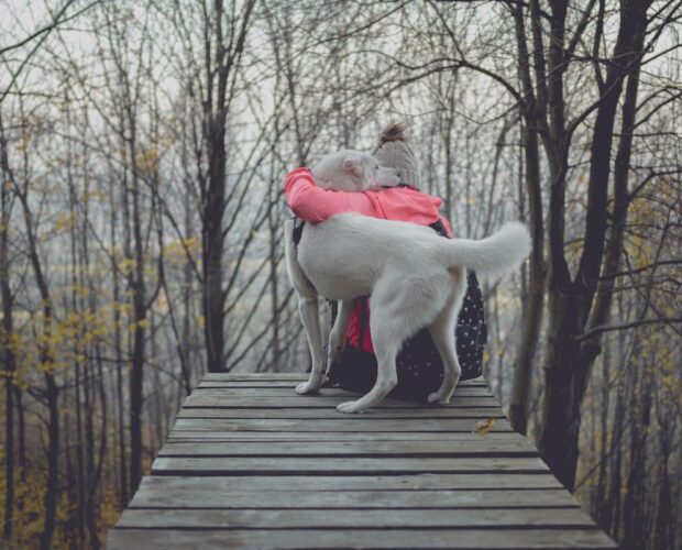 Dog cuddling owner