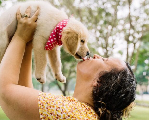 Dog licking owner