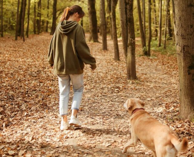 Dog following owner