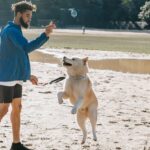 Dog jumping on owner